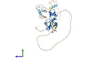 AlphaFold protein structure predicition of Mouse Recombinant Socs4 Protein, UniprotID Q91ZA6
