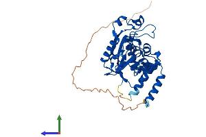 AlphaFold protein structure predicition of Mouse Recombinant Eri1 Protein, UniprotID Q7TMF2