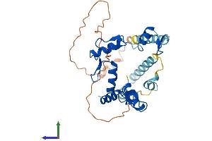 AlphaFold protein structure predicition of Human Recombinant ZNF75A Protein, UniprotID Q96N20