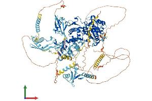 AlphaFold protein structure predicition of Human Recombinant VCPIP1 Protein, UniprotID Q96JH7