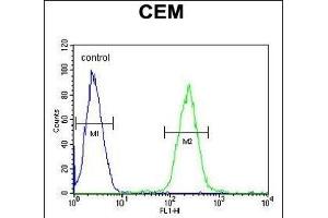 STBPL1 Antibody (Center) (ABIN651519 and ABIN2840275) flow cytometric analysis of CEM cells (right histogr) compared to a negative control cell (left histogr). (STAMBPL1 anticorps  (AA 135-163))