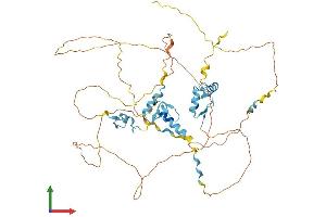 AlphaFold protein structure predicition of Mouse Recombinant Insm1 Protein, UniprotID Q63ZV0