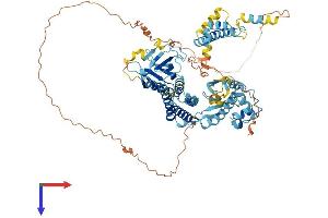 AlphaFold protein structure predicition of Human Recombinant CNKSR1 Protein, UniprotID Q969H4