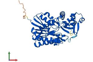 AlphaFold protein structure predicition of Human Recombinant TGDS Protein, UniprotID O95455