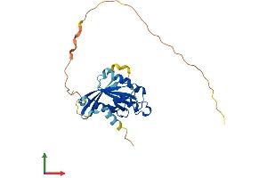 AlphaFold protein structure predicition of Mouse Recombinant Rab26 Protein, UniprotID Q504M8