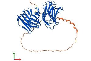 AlphaFold protein structure predicition of Human Recombinant LGALS9B Protein, UniprotID Q3B8N2