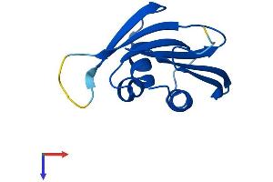 AlphaFold protein structure predicition of Mouse Recombinant Psmg3 Protein, UniprotID Q9CZH3