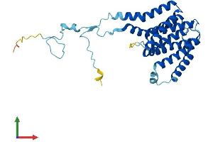 AlphaFold protein structure predicition of Human Recombinant PIGC Protein, UniprotID Q92535