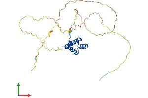 AlphaFold protein structure predicition of Human Recombinant VENTX Protein, UniprotID O95231