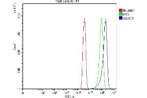 Flow Cytometry analysis of SiHa cells using anti-GLUD1/2 antibody (ABIN7602000). (GLUD1 / GLUD2 (AA 54-553) anticorps)