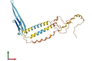 AlphaFold protein structure predicition of Mouse Recombinant Odf1 Protein, UniprotID Q61999