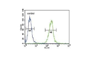 SPINK5 Antibody (N-term) (ABIN390855 and ABIN2841077) flow cytometric analysis of  cells (right histogram) compared to a negative control cell (left histogram). (SPINK5 anticorps  (N-Term))