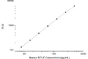 Typical standard curve (BDNF Kit CLIA)