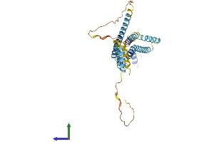 AlphaFold protein structure predicition of Human Recombinant GJA4 Protein, UniprotID P35212