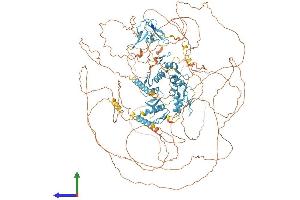AlphaFold protein structure predicition of Human Recombinant PRDM16 Protein, UniprotID Q9HAZ2