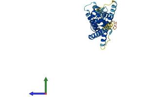 AlphaFold protein structure predicition of Human Recombinant ARV1 Protein, UniprotID Q9H2C2