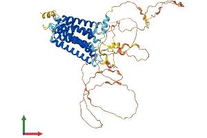 AlphaFold protein structure predicition of Mouse Recombinant Adgra1 Protein, UniprotID Q8C4G9