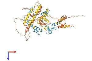 AlphaFold protein structure predicition of Human Recombinant ZNF655 Protein, UniprotID Q8N720