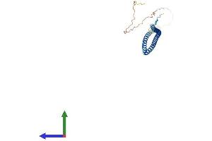 AlphaFold protein structure predicition of Mouse Recombinant Arglu1 Protein, UniprotID Q3UL36