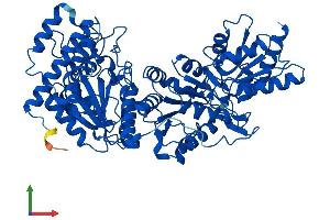 AlphaFold protein structure predicition of Human Recombinant TKTL2 Protein, UniprotID Q9H0I9