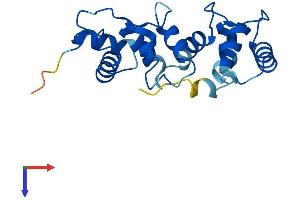 AlphaFold protein structure predicition of Mouse Recombinant Cib2 Protein, UniprotID Q9Z309