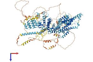 AlphaFold protein structure predicition of Mouse Recombinant Trpc2 Protein, UniprotID Q9R244