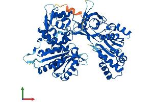 AlphaFold protein structure predicition of Mouse Recombinant Ndor1 Protein, UniprotID A2AI05