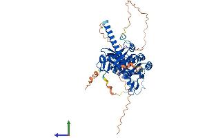 AlphaFold protein structure predicition of Mouse Recombinant Trmt6 Protein, UniprotID Q8CE96