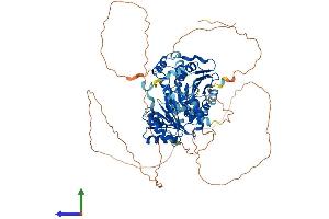 AlphaFold protein structure predicition of Human Recombinant DDX4 Protein, UniprotID Q9NQI0