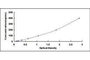 ELISA image for Apolipoprotein E (APOE) ELISA Kit (ABIN416197)