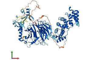 AlphaFold protein structure predicition of Mouse Recombinant Plaa Protein, UniprotID P27612