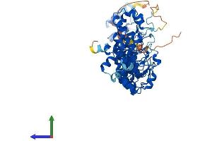 AlphaFold protein structure predicition of Mouse Recombinant Asb14 Protein, UniprotID Q8C6Y6