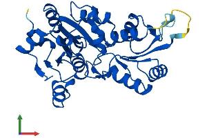 AlphaFold protein structure predicition of Human Recombinant PDXP Protein, UniprotID Q96GD0