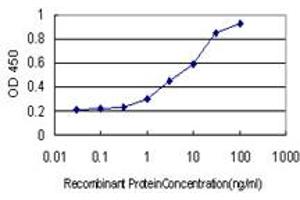 Detection limit for recombinant GST tagged RP6-213H19.