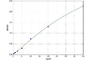 Isoleucyl-tRNA Synthetase (IARS) ELISA Kit