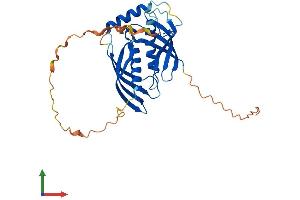 AlphaFold protein structure predicition of Human Recombinant RARRES1 Protein, UniprotID P49788
