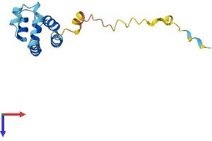 AlphaFold protein structure predicition of Mouse Recombinant Pea15 Protein, UniprotID Q62048