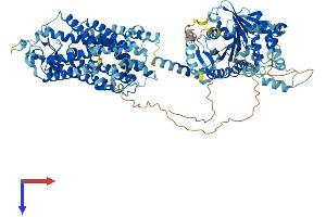 AlphaFold protein structure predicition of Mouse Recombinant Slc12a3 Protein, UniprotID P59158