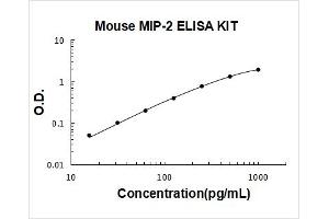 Chemokine (C-X-C Motif) Ligand 2 (CXCL2) ELISA Kit