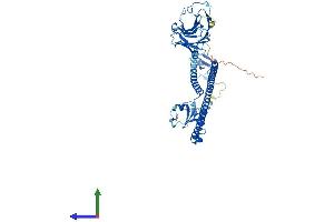 AlphaFold protein structure predicition of Human Recombinant TRIM27 Protein, UniprotID P14373