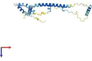 AlphaFold protein structure predicition of Human Recombinant CCDC124 Protein, UniprotID Q96CT7