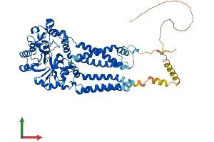 AlphaFold protein structure predicition of Human Recombinant GDPD5 Protein, UniprotID Q8WTR4