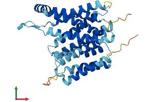 AlphaFold protein structure predicition of Human Recombinant SLC35B1 Protein, UniprotID P78383