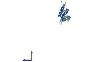 AlphaFold protein structure predicition of Mouse Recombinant Bnip1 Protein, UniprotID Q6QD59
