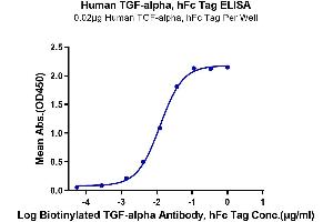 Immobilized Human TGF-alpha, hFc Tag at 0. (TGFA Protein (AA 40-89) (Fc Tag))