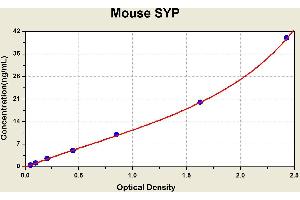 Diagramm of the ELISA kit to detect Mouse SYPwith the optical density on the x-axis and the concentration on the y-axis. (Synaptophysin Kit ELISA)