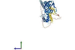 AlphaFold protein structure predicition of Mouse Recombinant Asic3 Protein, UniprotID Q6X1Y6