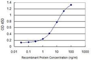 Detection limit for recombinant GST tagged STIP1 is 0. (STIP1 anticorps  (AA 1-543))