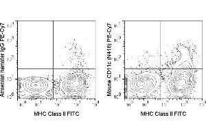 C57Bl/6 splenocytes were stained with FITC Anti-Mouse MHC Class II (ABIN6961605) and 1 μg PE-Cy7 Anti-Mouse CD11c (ABIN6961605) (right panel) or 1 μg PE-Cy7 Armenian Hamster IgG (left panel).