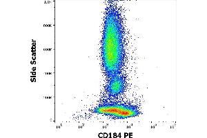 Flow cytometry surface staining pattern of human peripheral whole blood stained using anti-human CD184 (12G5) PE antibody (10 μL reagent / 100 μL of peripheral whole blood). (CXCR4 anticorps  (PE))
